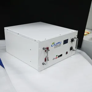 LVFU 48v lithium ion battery