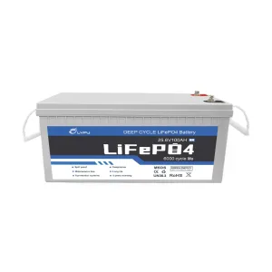 24v 100ah Lithium ion Battery